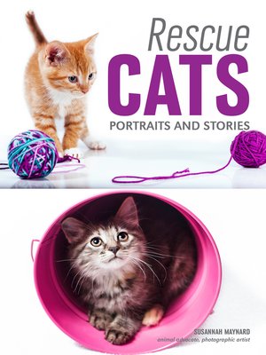 cover image of Rescue Cats